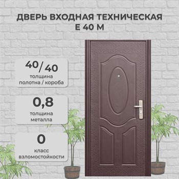 Дверь входная техническая Е 40 М